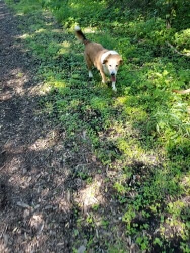 AC9h4nonM pu4NTfVHNx5KBh ekeoVIIx0k8bu9l469I H66wXzZH9zi0muUjK1Xjt MtBL1amBxbaAG6D0heVgKVEgd uKyVFnY8pTc5Z3zIUx TOaFF XPNIiamgj2mIVnIR1DMvVCw1600 h1000 k no