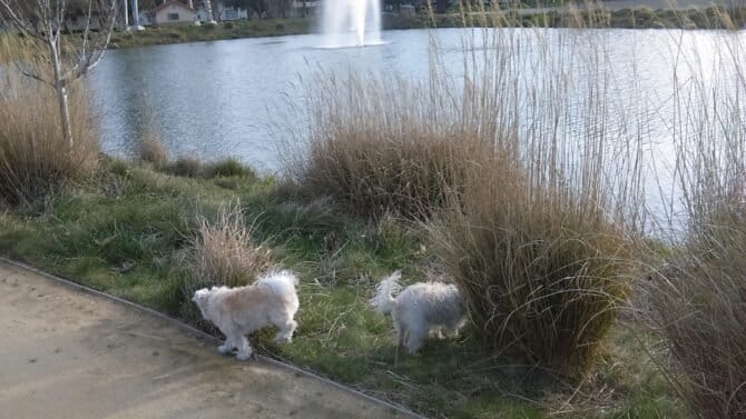 AC9h4nonnD AjhgJKxuDUKzrOd413aC03HlwtCHvIoiaHJCOnPwjGfNeoHwqdBeOn2n1nzlkB5aLAaCH1aiCOlI5NgBMVzJYiA6TdCi ezHAz7aanxdch0Mxgzwbh2xufKGYLikLJlvuRgw1600 h1000 k no