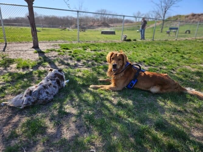 AC9h4nonsaOOFiJaUlFlT99Xpd8cIPjyuxLHf7 SzjRzdEjalNQ4TfntsIpfIOU8uKLJ1A7SnA9YT1adxB3GAMZNYhwybBxYDx1CKquXslfCLqSmzEBFAJEk6UTkKVd78Rxbrd A MPPw1600 h1000 k no