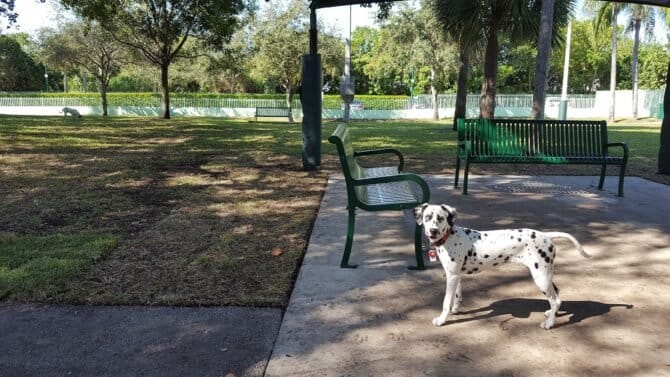 AC9h4nonunmXod9i Cz4PPvHxb4KAaYaFjCCgnGi9EtYy6ocfOpkPQ265lYPwS6ojvxJGBVQoFX7GUw82UCmk9CAmjP9P FCSjIx76eFxsCgNZD m94UP  dCE4VPDGWXv1QYSELVhllw1600 h1000 k no