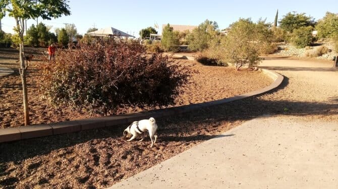 AC9h4noo1 ndGtZJkNgHOQN2YiJ0oEElIGmvjnijMYncwCMRJ1pusAq6yZH yEiTx1CfPVxtqZwL85 JLCXv1mK5y92 aQvOUWHJ8JRH bVxs493s5YO8wBYSLbsJuXNDv01agw1600 h1000 k no