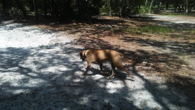 AC9h4noo3FSHTZB9x bGL7MjSwd5Hn01EN3klVr44Az5ZPZoOERRhPnSXy63jRSkItW62lmvB6b4 7SjAcXz1ofpXa MTBJwW4Djm4oGmDav0jHxdd39WxOA8jM8X2UNHi7E Z5hlEoDw1600 h1000 k no