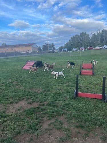 AC9h4noo9Shhl8Y1GJOtQfB5drvKR9aivQWlB3lV0mCMDVfblCLzpaVhmBvejRXZHAtniXqXi4pyHqCB TSc5G17XFqqNW3ihvqjDAClSv0p21UG97tVUt77sfwf cwLL0qU3IDrKqjVugw1600 h1000 k no