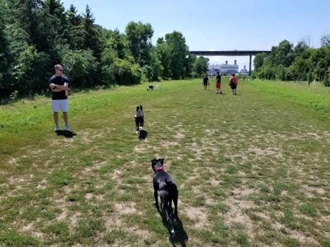 AC9h4noo9i2EEy984bw6ptm 8fBj1okEAG8KhINGk0Z7UwVPF86 pUzT1BocqZU4nNQdOI5jIRBHc5l zADzt SfVb1SpktZ4jDLk9nvfEnEZJUrV YsB15 zigyKWCFuks30wXtJB1Hw1600 h1000 k no