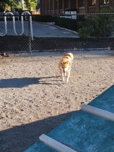 AC9h4nooJTJCZzym51lmRBTuLg6h7C2uqg9eWtcIiK8shR5Ltlz6bZC4EESnL2uNA7bhOOvyWS9ZnlaB i6hHd5Bj2DyH8VvtYkAHMS5sKMTGlkuOVVFijnfehts3QmjwMuiT6Vb5mjhw1600 h1000 k no