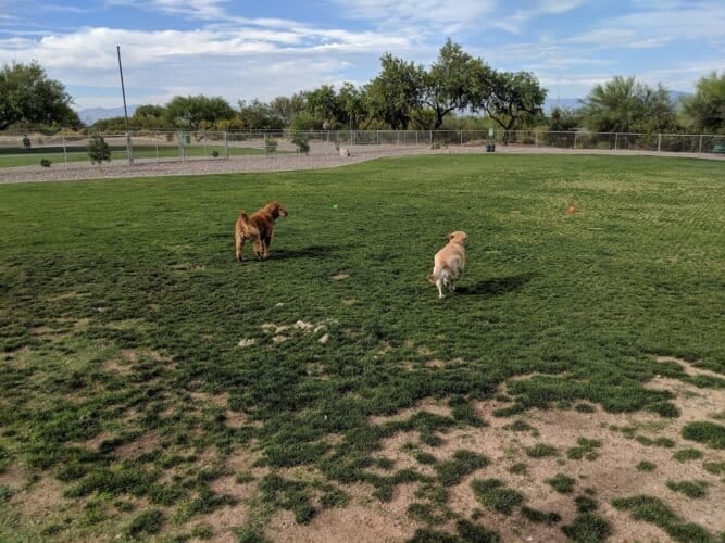 AC9h4nooT96ZUcKbySaAd8stzcdt2GLx3nqtJfxNSiRACt8KT1DQ wY1 2bYNecCxqphFxRPe1WmsPyopLp7CgDksG HPNeaZm ltWXRue suqWiW1fUi 8 vmxs K ARVTPT45P c05qgw1600 h1000 k no