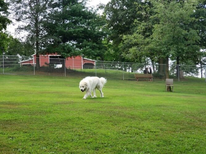 AC9h4nooY7DlzkepQlxYsTGOy4JCjaxhqnfUTsOq2UvwLgBACiTxSoJE uTG409eoC78o5Yv8PMCEH25OgmNUX9ZCgdY ecAkKBASq3I8WoJZaWrZamGTl8JMLU6VD3Yyn3yXJTs6i3AiQw1600 h1000 k no