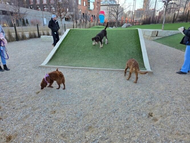 AC9h4nookXsIAplKliwSS x uabl9v7l1l5lTR5fXoRi S5tdJpit8HF Ycui91HH2XoaPBwvmw6PpNGF0jdG6LCaLT4IjjyLrQiK30qvYTD2y5XxRF0UgVU0PSjWNuM5eQ8IJ2DuM3wzgw1600 h1000 k no