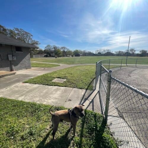 AC9h4noolXSrYNRdWK29BDMcmDc WaVIKuYBSp07wmbwtaVH2NUNIElDMSbDyG9d5M c7Salai3Xv3ZAHyoZO3btRoAanWTOG3RKqwZFBNIdu4LjgfN02rI6z65 k01CiJKchrZwWn8w1600 h1000 k no