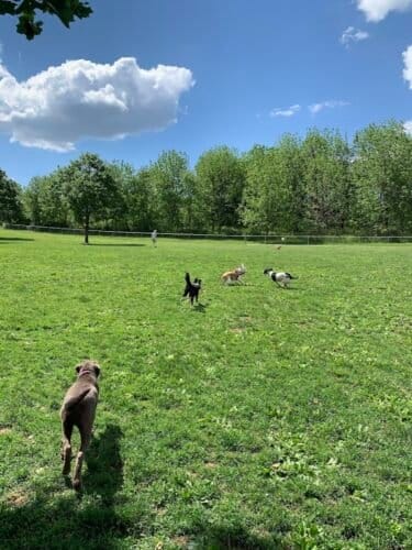 AC9h4nooyLId7VZOT0MWIqic0JSom7w514Wu9 Ww uwG8b6juO IJOmm9OW4PMVA6D9b0hVzegyDeKZ8CW73o7nJ8vmHbQkjDqoQ5DgBJ9IY79fVox 69FUAggtnX0swHgcpEHLY4rf0Eww1600 h1000 k no