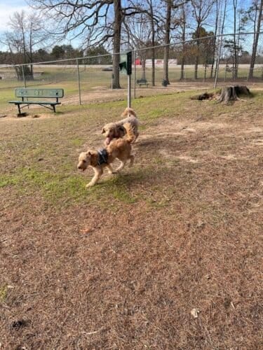 AC9h4nopGn6c7ck2j7xOXjhcjrt60GIXwoCGDNlRkDH4 vO8 VhFVCDBGLgOp9maBvMYhSJRzJGj5SkyHVvss9DpQPYdZHOhv37bUwdTC yGrrLmtWuUtduhSGhHbLs2HEaibLCMnfQw1600 h1000 k no