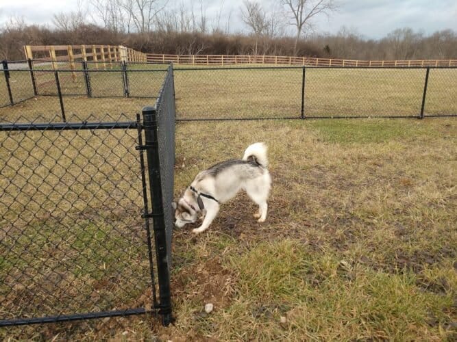 AC9h4nopLQW9bMKl hzGV933Clea0nXvcTXq9bk8cHIWRNlIc8UOILMSJBA5dVngXaJpqCh3MNSdEmk4Aro3Ca92hx4hQHHmY2yEtPIeqT3pphigTnohXFinXdi2XqkI9IRAfNtCXjzWkAw1600 h1000 k no