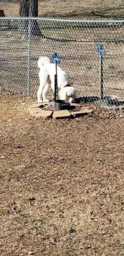 AC9h4nopNn3gNTeACLBLZmU5MD4hkn8wRV3INoSpYvJCh BB8eE6Ou1yLiCsiJTA1BpuX5cPUntf8BrpZMoNPn26gJs0ze4pbSQ7bUc87q5XSA4KJ4ALq4mvWNkxZkcwORSdy  nzNYw1600 h1000 k no