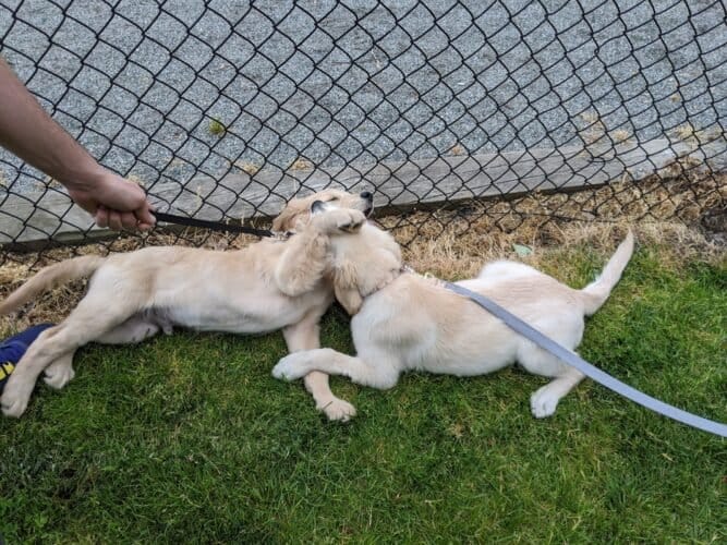 AC9h4nopRMc6kzR  UDRYZ84sb9PgKc8NJiTLJyWTSMzrHg01XJGEbpYxUffE0gY200eRJjzuJF9jTZ 0XkakscFOdWfSgAdKS6cdZk01Aj8ptyNB5tsXZC9t 44c0q4zTnzXZoHWtYKFgw1600 h1000 k no