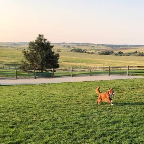 AC9h4nopTcFmD7MAm80wMBdlJW33uu lQ0ZwVqwrVKs1Wa SRT69MT dLAwsurWJXTam2gQSXWvi4LYedKE6pkhA1YzQxxnLJEj8jUKOqFDjwSxilvp49h6D6opW IiTMU8502MZZHqH9Qw1600 h1000 k no