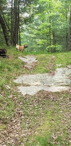 AC9h4nopgtd3Vii5xmhKhgrlhYmS3SA1z6K3KaCwdBrnm6SkTHWA5kshmtmgUUzppUnL46gYjXE2JsZpBbZOtw4dkq6zq8ypv ikKEAnXlC5fCJwsavs i97fA5B3bo1e5SYcJz6hqOXw1600 h1000 k no