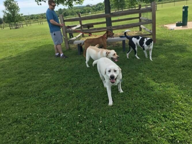 AC9h4noplc622oV GMeNatgLE7aWm2aJjD2QQ2oGRXQJcePIyw0ko1J2LijjQOrsQkGV0q6HgAg56ppdo8izziDeMvJ6y 09spopfDtWww1600 h1000 k no