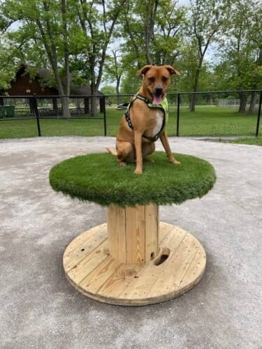 AC9h4nopnTj6fd7hWf2UPrk122dRrQii8qNm1Jvp 4coR Ynnyh09CNFt9QapSNRLzaA0J24SstFrb AUPrdBaCljKl07mrsPMbLjGQ BZ9sbxaz4wQEyhvWD07dyEGy5r99GkqYifYw1600 h1000 k no