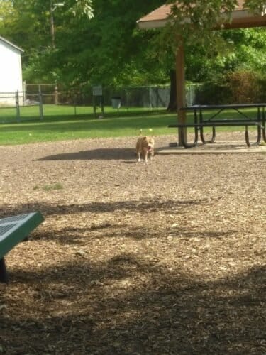 AC9h4nopzOl LVl9sivozfr12jMqUqQzn9zmnuGRR4vPqcmCBZHCULuYgmpcwYsFx1JGyd7yY bYSUCqmkUriADOKsKsk xJrQJGzcNjFzSZdcNpXRdogEzjSRdNotAo Z2xVBCy8ZoRFgw1600 h1000 k no