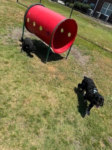 AC9h4noqFQ1BbaKZvH2qqEIEeT2HsKW Mx8h5l16yWZXH0lLooWaUFsZR9bPTnj1DagjLpJIaMlR2WbJCPOkj2AS4Ck APehnqYXjyUdOn Q87lh VBGz08yPPN2ZPmVh5Z9LyXOIY5ww1600 h1000 k no