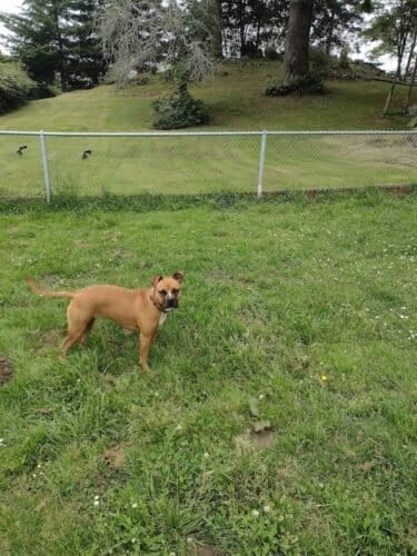 AC9h4noqP oU JTb2MocLPXfDkGxPatP2 11N0dHLbUI6CxuSdCQg3iZUTOVhkQ7I3Onwc6wdZjKIVD44cb7tyFzTt1oDq6UAutyNrUAMWY3 b9j8 fFV86WbJ05wmVSf2u8LuHRucZmmww1600 h1000 k no