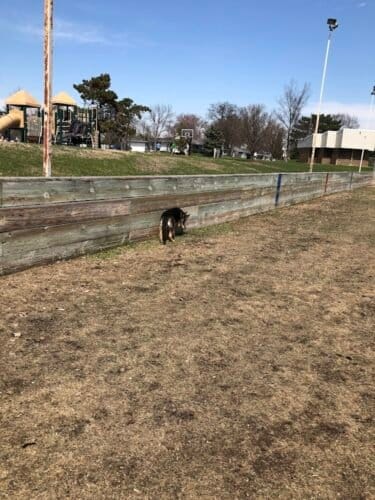 AC9h4noqZR95FL5RNstLNvWsfN1vJSoWhavjXWz9uqXLdgxdCHjm6hSrxrX2Cptw7JtQMttVSJ0EahgpqLvs gQetZNvaXLl9dB3WvE3kyr83Ojied92DzE8HV0z0Ce7WVshdNxNwYcw1600 h1000 k no