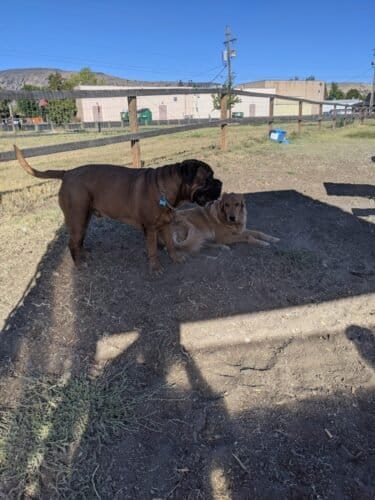 AC9h4noqib4de8F u2Dfea9buiK O0d7UGaL8Q8N8wqACxRkvrlOTPENPitfGiBb3jo218B8L046Cxy2NTCjGeoqTp21Jyla O3OEEuepaoTA0lV96of5hRZ8W3x6VxR8h5IqlwlWM5C5Aw1600 h1000 k no