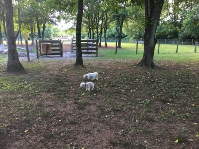 AC9h4nor2nVIcRqC6x6LcEkl9eQo7DOjxImwYMAUnWG78iZeBIFp68k6hZPCr5C0Q80JsFerk1jw2x2 9TZtsmtT85CQng9Z AXBZkLSCNAoU6tYEqguUFkss2a55uwIRZiCnATKGIeejww1600 h1000 k no