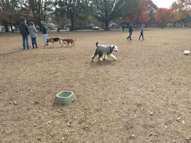 AC9h4norJ10WApkxcAzeduYB9vv4ptJxE EpC877fmJyY1iT3MHfPAFGqqktN1FMaNsRtFlW2MXeZ4l 06JWTyyWicfPM550AEg5lnxwt6c2yyyKbDeqAbzMzhsPdXzPjnLuwwDABqd w1600 h1000 k no