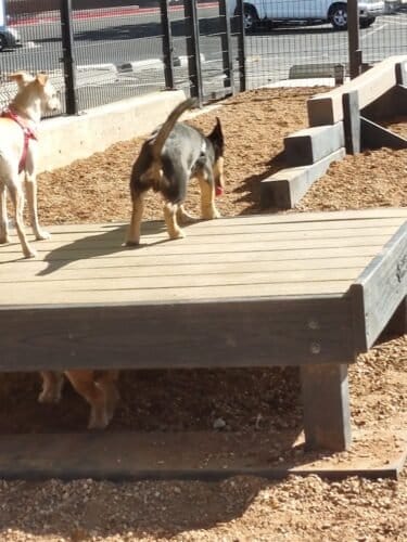 AC9h4norKD3 R4jZ7OjOoFDHYphqNA03l3eWNOZMtHA33ee9R0cyuXCN2TSbquWPmYCyE7BGiIGaCgTE7QVlhgALTHBcD5nqa10tuxroz3pAx5AWakYsHqlw3VHsCAxeLqTww RUN0S5w1600 h1000 k no