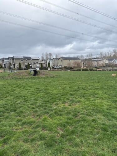 AC9h4norTWahoH5g6i0xUxK9OiFC0MwRkMp5bLk0 zd67Cgl5LzsLPk8HJCVwP7  azTQcQhYnSM3GbQyHRGIT7jdifwIW b TIGjanEldBKtwjMFF YS4weOCq2F7WIRn0srQW8jOFsw1600 h1000 k no