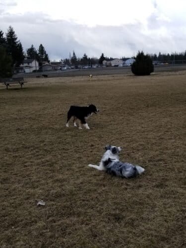 AC9h4norW9RXN5fUM0X2FoWlZNjbgCJtbFUOiT5tUEDUYi7VNEt3fLbaVIDffEjLiXRBBJv4r1w3I66BVmmS x58TxQPkm0U29NL nreS5HlxLRokGqLsXAgUZoyk91B48QMligz6Ngw1600 h1000 k no