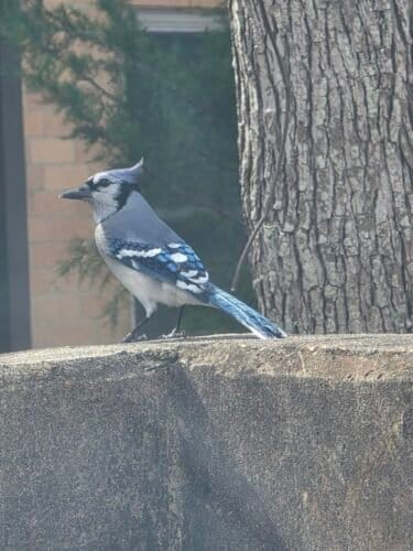 AC9h4norZ0Bxuc6YyK3JHPdYmnu4ZDN4FfahzR4J79u9gmsm o0fRobZ5lmJGSH1einLmZnjBlWlyQ8zGwerwkdyRqZzY67IeDsNGp6NVPaNhklLt FSVt ElrXKkDMdF6B8RPeZVQZQAw1600 h1000 k no