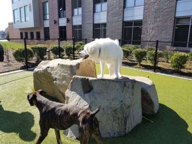 AC9h4norc TVJn862fkwww1YA4yTSlsSj1f79XUaFXP90AE6GtGBsyNu8rW jy7zcsDuXLxd8cfR7Bra4JwrHZTqZh M3y zup2MbMuTGlXWJV4763t3yyUZ23hliFtj YBww3Mn0t1r5Aw1600 h1000 k no