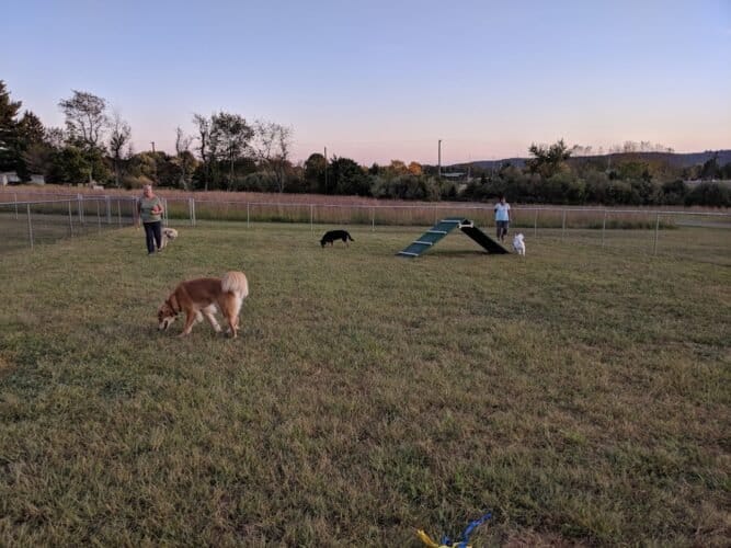 AC9h4noriUdrnlr0vju9BRhY57gbrsD8 qJqK6D4qB2HKnJ2GAoqNK oMDru203gLIV4gvI6g2Snfl3fzS1dLvgZcDtJQUucs8Ly7CwjIjdS2KCvKaC6k BfOEqj5PvmytJ4R6undiWVIAw1600 h1000 k no