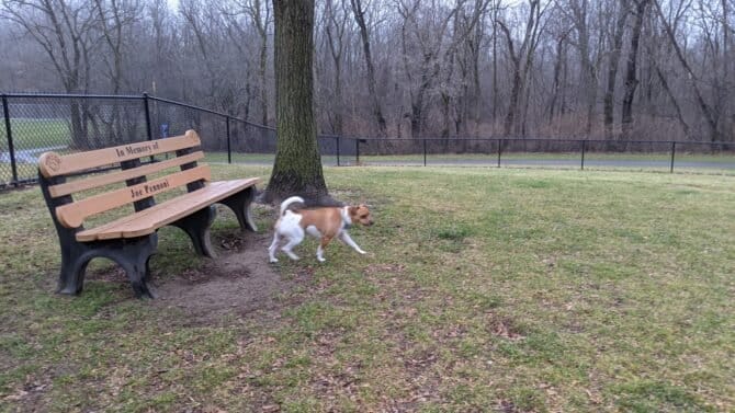 AC9h4noryJIoDbGVrWZ0UNYvpBblpO5io5rgJgjp ECNPU9NHVj0ObpyUfoE8LxSF7a4i7 hMSP83Red HdXB2cd58blBIVwQ82rnhMKb0a wvVsrwb6UyG4N  O2aCmpBevzSLs6w6hw1600 h1000 k no