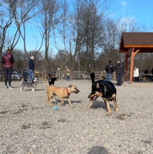 AC9h4nosC daEAcFpcCrZv3dBndmVjQgRMWYrJ3EWBrdSHITtOBBNohliCTaUwvqdEOwnT0iXB8AxMUfLCJiWz nLylCtXtmbe1fjivN7SW3AK624WDzwPozSGuJBsduMYlJnGU4o78w1600 h1000 k no