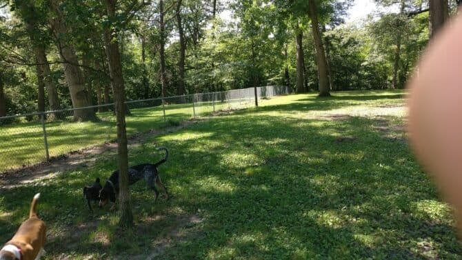 AC9h4nosDRpgkGX4vl6a4ErfFQOiWwXR2OnvqrNoBIV3be5VzkYaUwG14jBN dc2E Dl3XexrKVOWif51EJ4slwWdRCbJkEn9EAk3KesaThVdnSvTHrZnAe3gHgNmygA g W9zuLPHqMw1600 h1000 k no