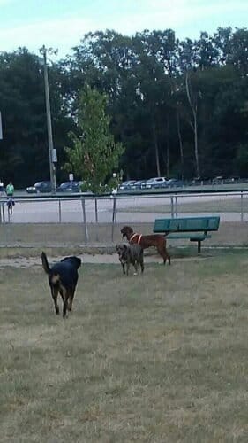 AC9h4nosUo0uRcaWuJYAz4VrgxWimmmz1KZMAf4YwRgJi0z S1xLfdqN5JfV3g o0r2XtwtgqPIl3wLPIjpTyJy 7GaXPiF4EyZnzOXNoVC9OzIRDETl8TRhJH0PGWaKO7aql8tVTrpphww1600 h1000 k no