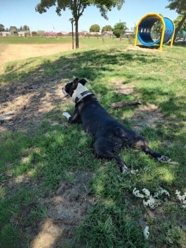 AC9h4nosX3gtTJyu31aU2vFWWCopBK8BbF3dJqedvKp8nWRJlhjLGy1qhbxnC41EiqTf2BD56E65QwQtNg3utYg26LhKiqIvM95zTC7eU1FakYJ75IHshecKgxpwxWe7CHpXSoAgifaUiNhluFxkw1600 h1000 k no