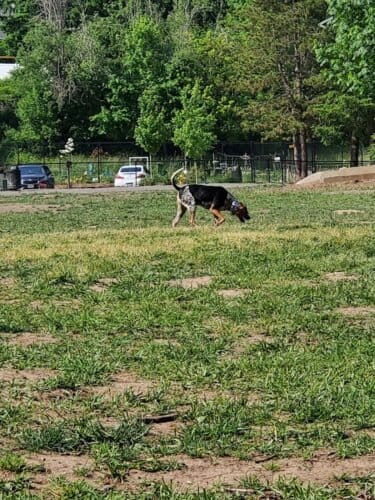 AC9h4nosbZEEiYvHV5HyWW356HdLkwb2GMHjAl0NFGI602OGwvgoSUqeniul7w7zAMfnbl6a4zbp5kbGh5c2VDWpnAs Yzm3 PZh JM vRw9ajBUXs6JOOuwsz7WV0c qhbvC26lcw0w1600 h1000 k no