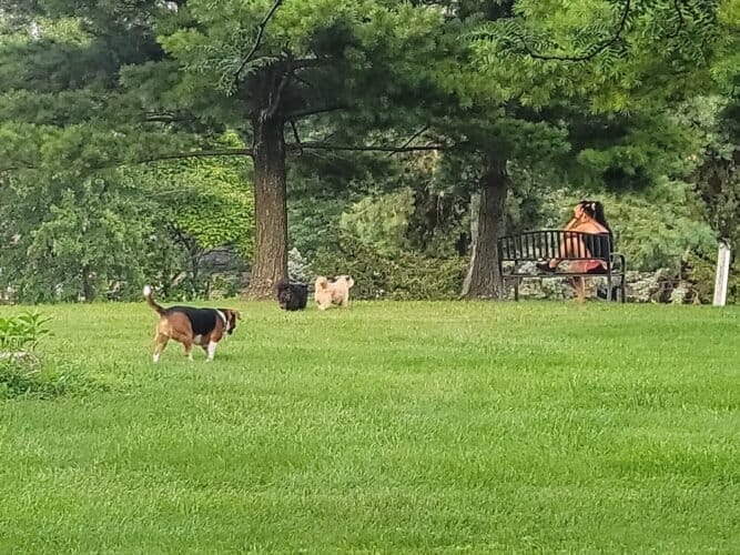 AC9h4nosgZ5Km0EIoMoi1cqRDLjDY8B5exqgraOrpCb9uYFP E2fIY3a6XPTXflRW50jWOvYnBj9S4GKNgKCdChE4yI1W6lK2Hp HiNDfagw1600 h1000 k no