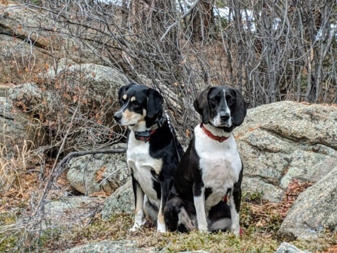 AC9h4nosn5gKFpKIL3SfRZlho97sX8tHB71mr3paqabNMCGFjS9HzB2LInmwxbBX9LrW6HzorAjLbtQJf7jNrEq50d5Z5 2gcgullrXmrT5LnKZVnAfPHi4RHB138783ELsFNooBeaWtw1600 h1000 k no