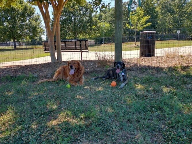 AC9h4noswaUd1m10R8DIinyEwRUjKJ5qKNXorpcHT57IadcSLhSjJoNiMAiEv frncYXwV88 qtocfA3PZkJ9ywq9k6ixbs3EAfgwtDzZvn Z1xyyslWbI1nf4TWeKAzPkC7tN9US3YXw1600 h1000 k no