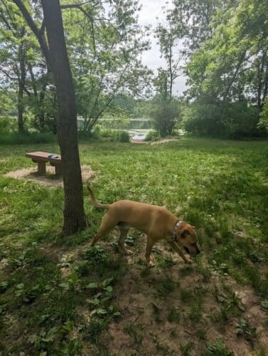 AC9h4not3jK0FviGEqbr2QuO7woBwXf960vnbElIEU0rJhPJCbrVE0bxK246x0RB58sEFYWlPzHnDnAFUWTKrxo7L71hJqXlcQ6Y3z8TswiCp8ODwnf6ekeC i0mGG xaaxYHZFguCDSw1600 h1000 k no