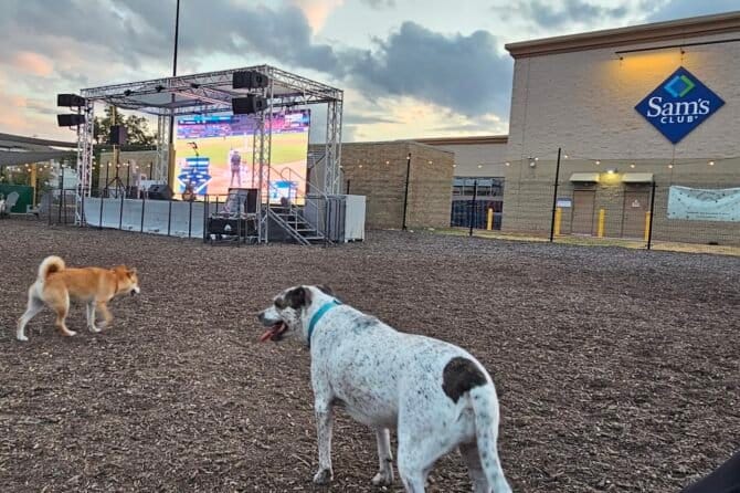 AC9h4not5K4JSH9VZM9z7wMgQ68PWMky6oofTbdrzBy IBnK5quVka81oQ9XU wasBbpTzgqtJjC64TbSG5TP9pDX6zwPkopH DGj71G0DaJGz6ijIOULFRp6ZfWgwVWo5 gsGdbpDzzw1600 h1000 k no