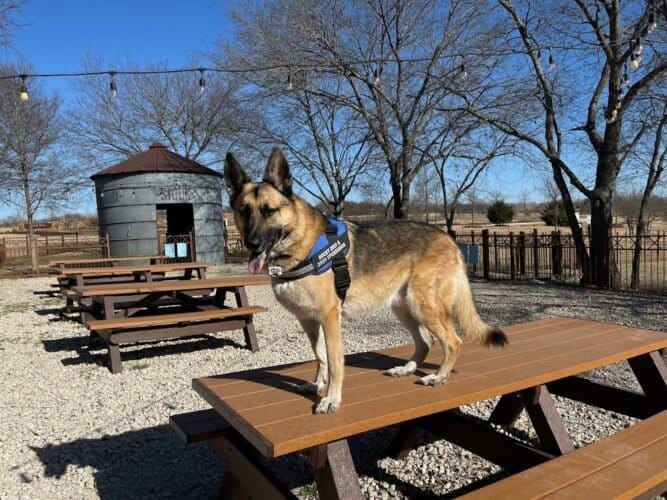 AC9h4not7fF2mOWFgfH1Tzn5bYe1pxxftXA4edvwWVT40G4InDF2OXn4p InFuwjhiOcH8FBqXa8fSxkeL3DvQDK4RhPNNmeS7EtIwn30IR 7TvPQaPMS0HcvqGXgtfxrx27tffE3k91Pww1600 h1000 k no