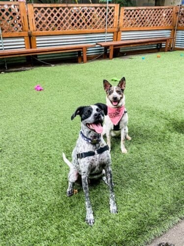 AC9h4not9MiWZnJX18K5LPf2Z8N1mW1MmF5uBCf095DkKTxbqKH13h69TdFaUsRdJoDzZX9Xp0ayewNwJWbnfj3c173pRLmibgpWBwkbYse2anqHcKgggPC7VAosCw6dOK4NCthcqXQEuww1600 h1000 k no