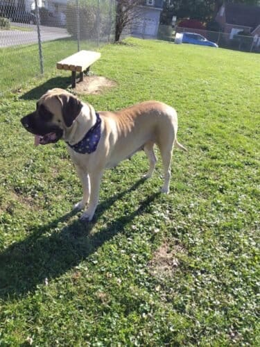 AC9h4notCwJ KB2OvsKKoo8Ppw5WpdTzyfft 0bGu7CkFjlcT6nuozhbZ6vrBCmOtOtyY7YzbtjEHoV60brk9tFD68S o7dCgUYCR0FahTY fwLFiZ7mKg1t1tCnLpRK0P7S aFUapcfw1600 h1000 k no