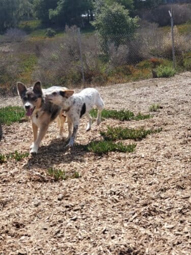 AC9h4notD3ydzjXqk5sFk6TdqOyqxKi5cc5EyTiPRFSPHkHVdi6Lw1MuJg Cg9bdBw1UPluVC2Bd3lEryCjrvopnpIXNREeMkXdQINTCMB5QDIHwhurG6XPdZkdO3mTs0vQkBzfE6Ff8w1600 h1000 k no